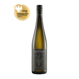 Flasche Grüner Veltliner Alte Reben 2024 trocken Weißwein Weinviertel Österreich Stahltank & Holzfass