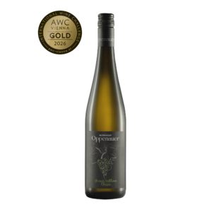 Grüner Veltliner Poysdorf 2025 trocken Weißwein Österreich Weinviertel