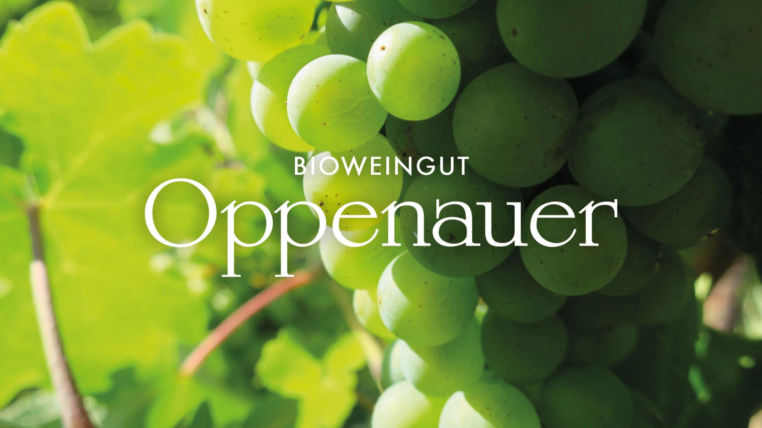 (c) Weingut-oppenauer.at